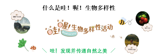 索尼舉行“哇!喔!生物多樣性攝影比賽”,以影像記錄自然的Wow瞬間